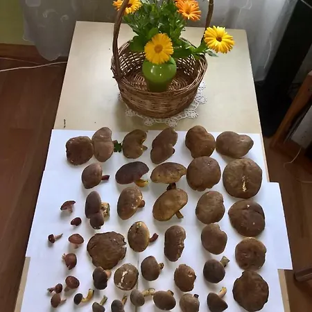 Apartamento Tenczynianka *