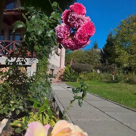 Tenczynianka * Tenczynek